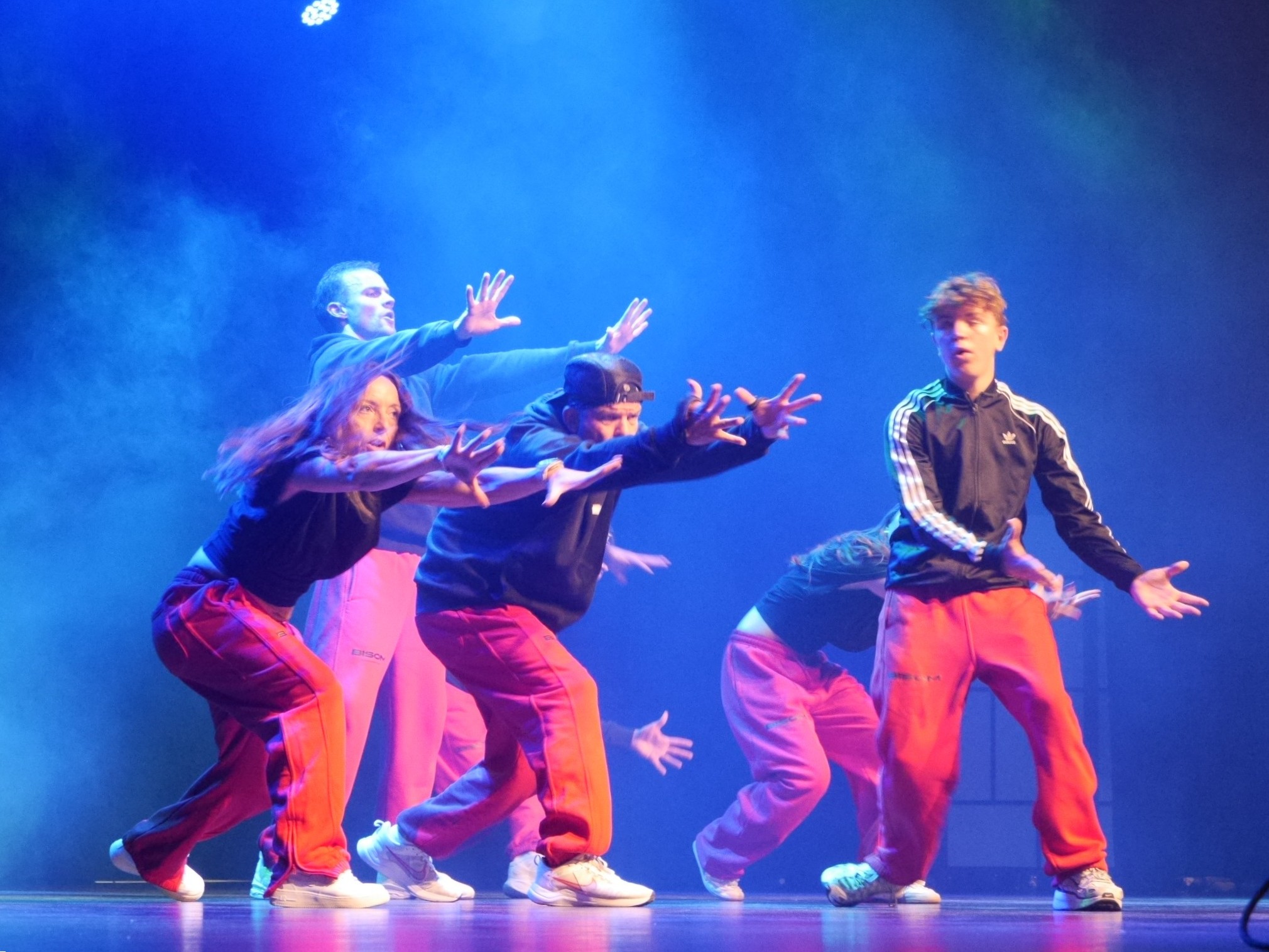 Bisom Show Hochdorf