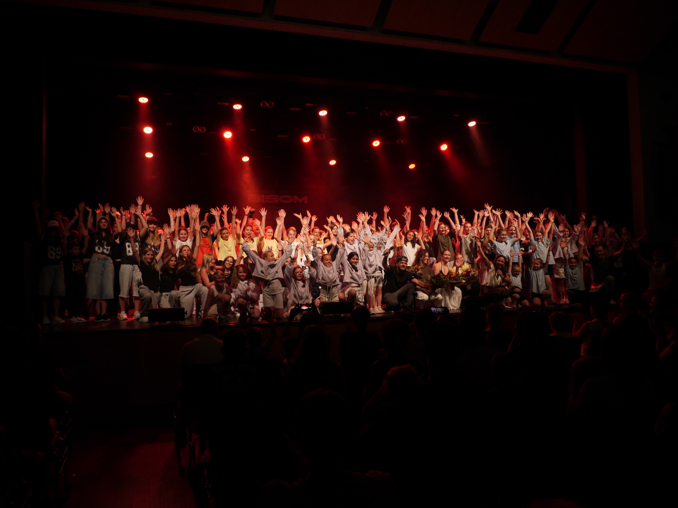 Bisom Show Hochdorf